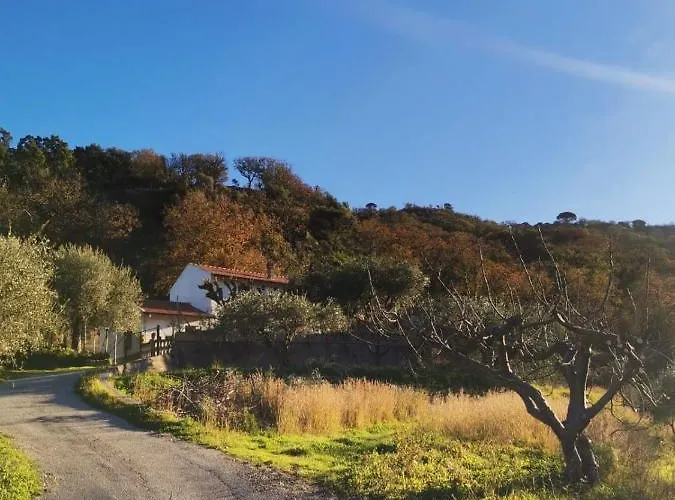 صورة منزل الضيف Castell'Umberto  في A Casa Di Natalia