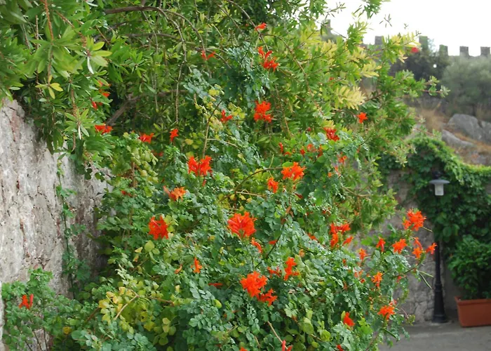 Villa Angela Taormina photo