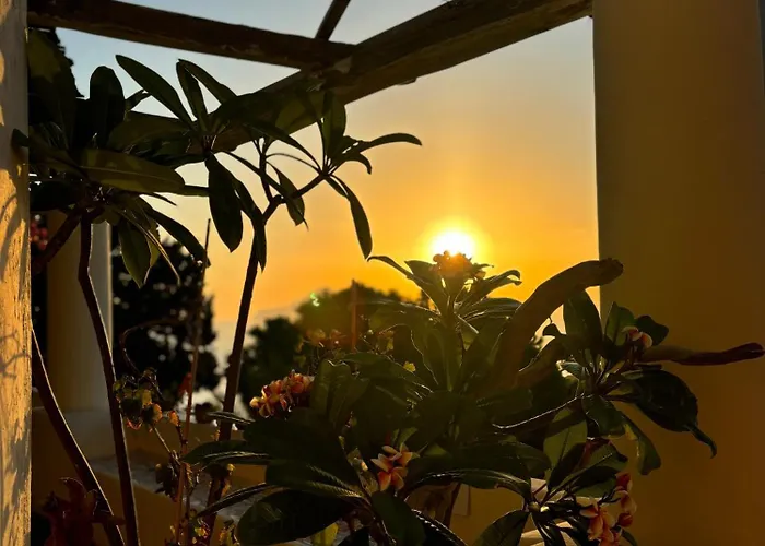 Villa La Rosa Pecorini foto