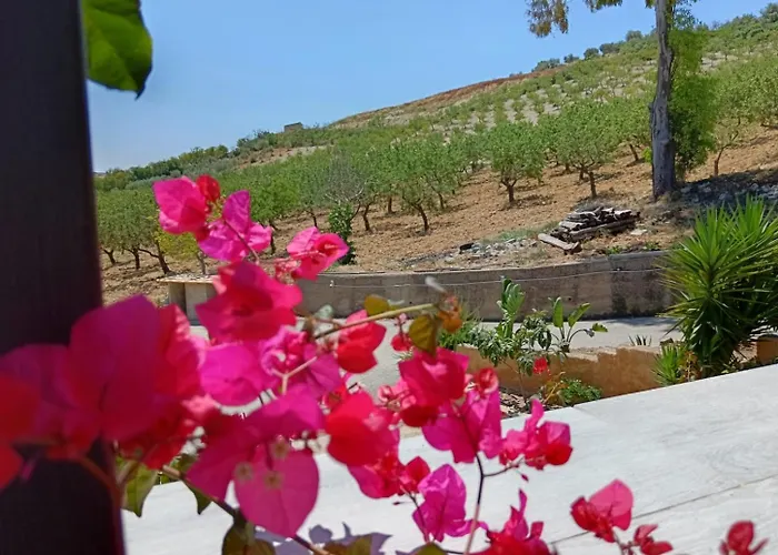 Villa Dei Mandorli Naro photo