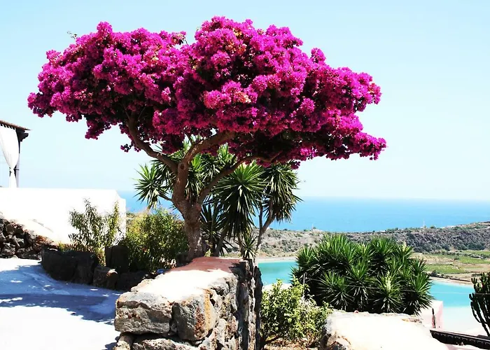 Photo de Appartement Venus Dream à Bugeber